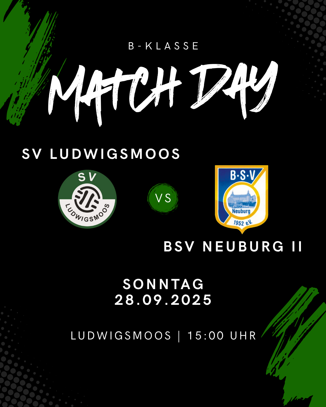 Bild BSV Neuburg 2 pre